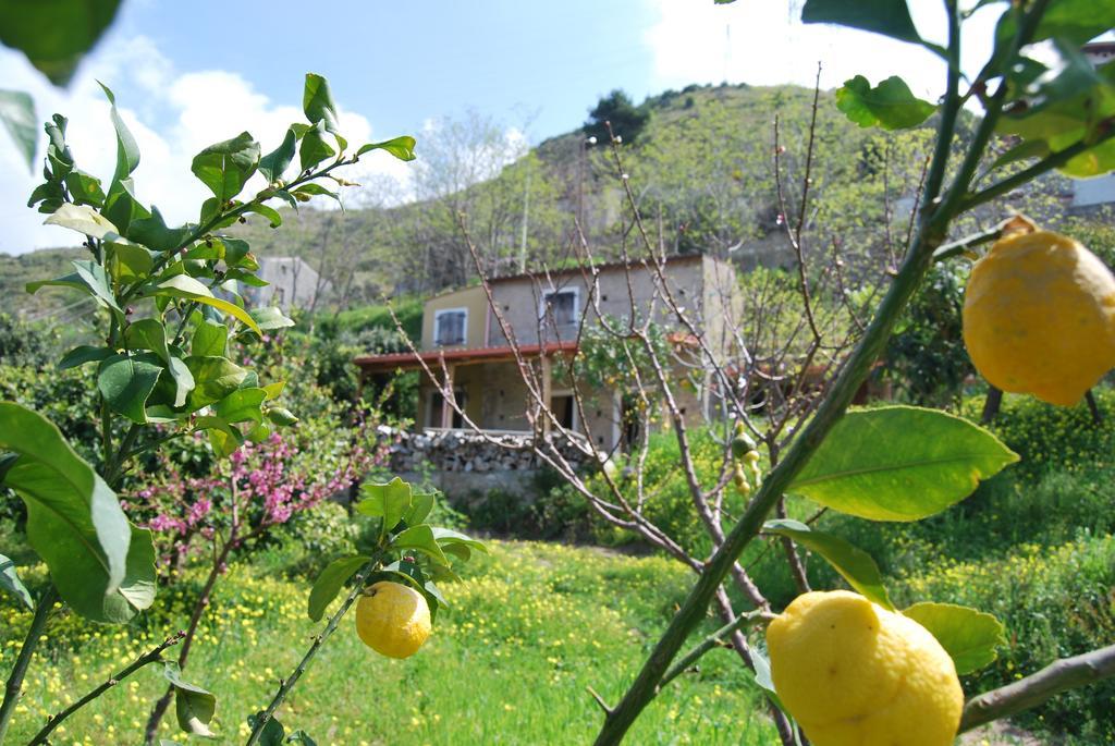 Al Melograno B&B Belmonte Calabro Room photo