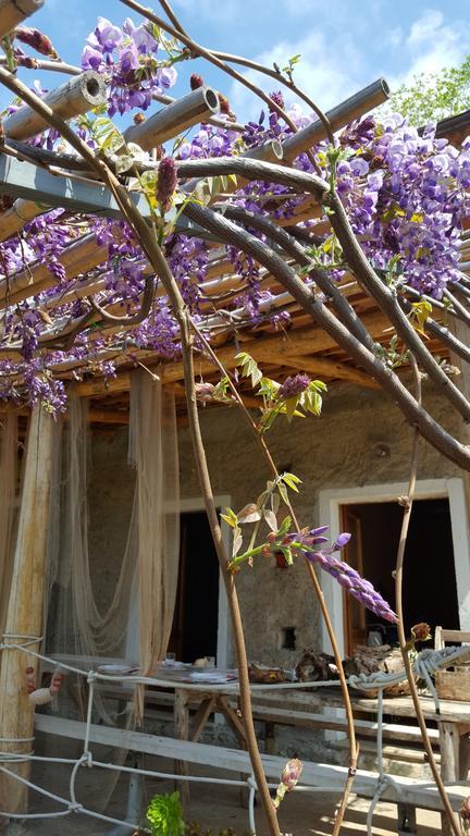 Al Melograno B&B Belmonte Calabro Exterior photo